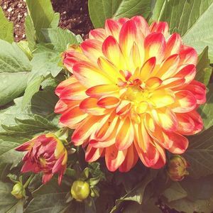 Meet your Posher, Kati