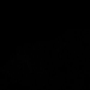 Meet your Posher, Joy