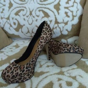 Leopard print 7 1/2
