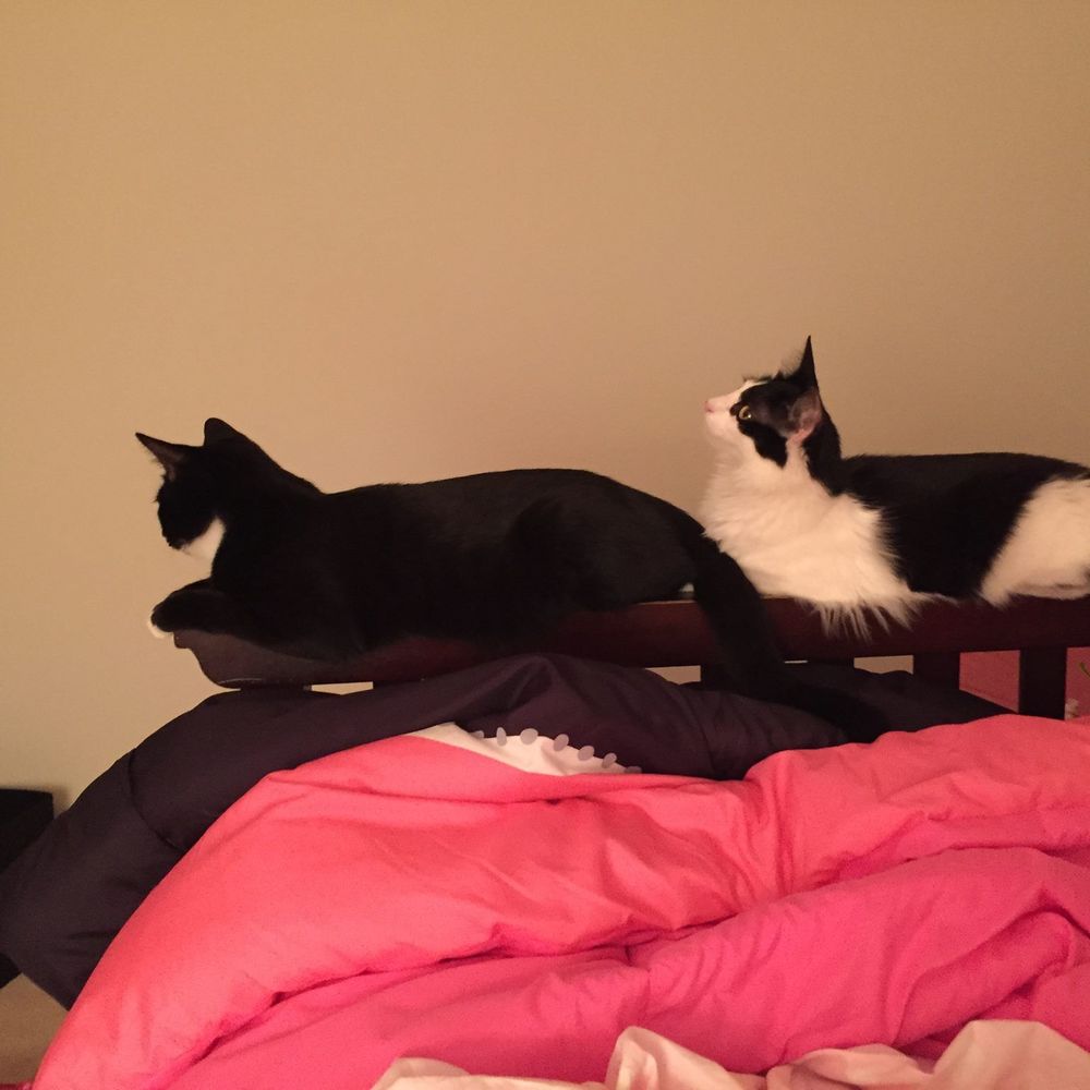 Meet your Posher, Victoria