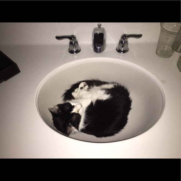 Meet your Posher, Victoria - Picture 5 of 6