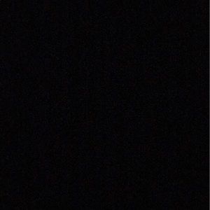 Meet your Posher, Bee