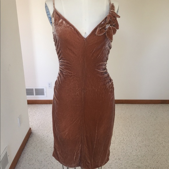 Velvet Dress - Picture 1 of 3