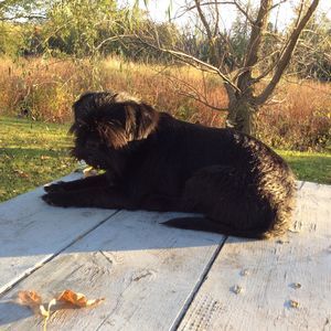 Meet your Posher, Valerie