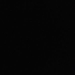 Meet your Posher, Jaylin