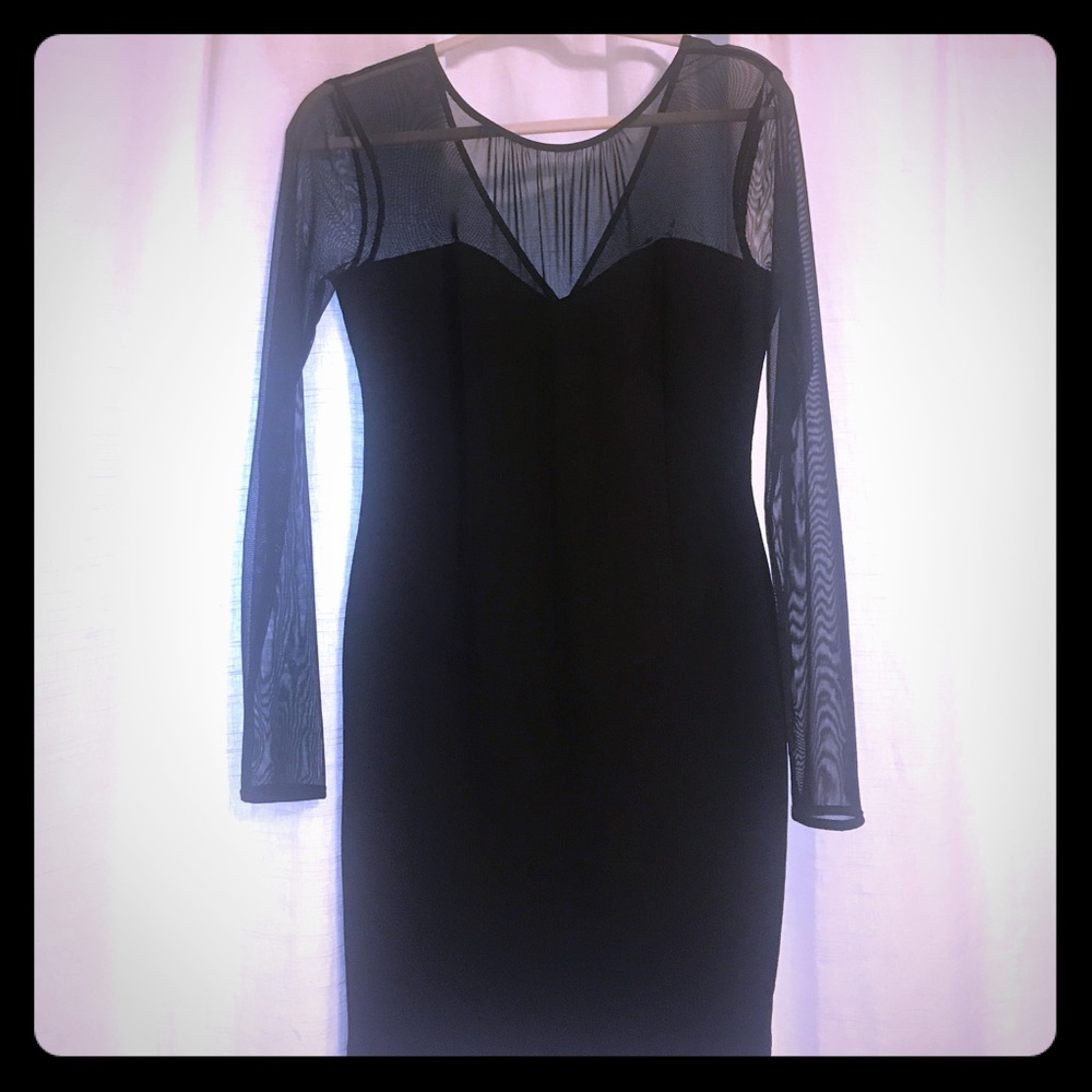 BCBG Mesh Long Sleeved Cocktail Dress