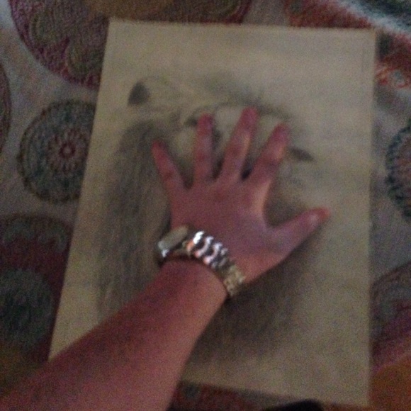 Lion drawing - Picture 2 of 2