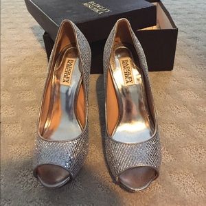 Baggley Mischka Silver Shoes