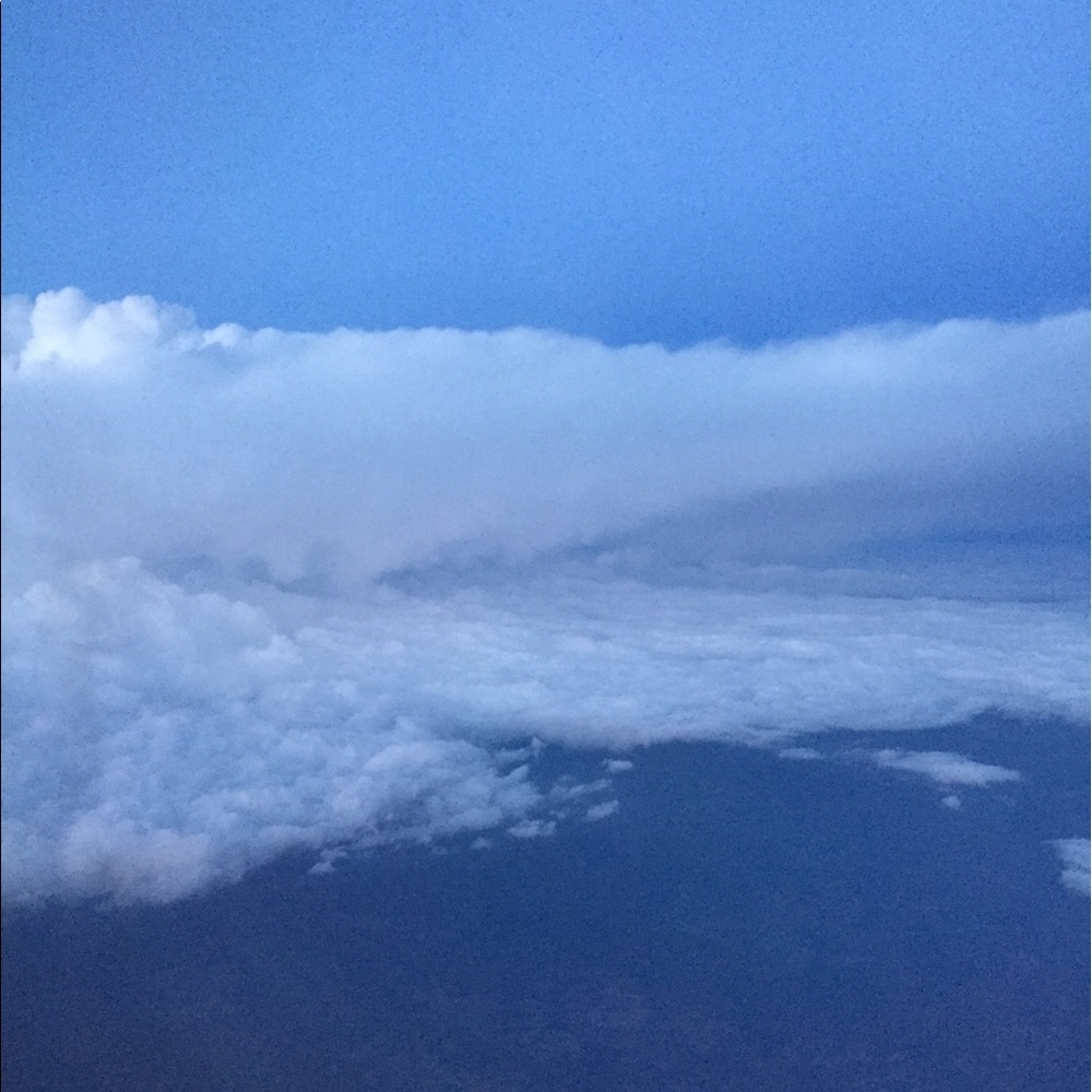 Meet your Posher, Lydia