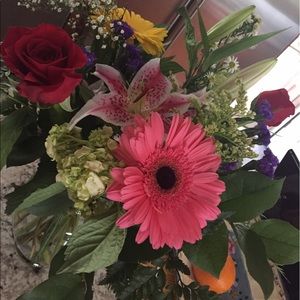 Meet your Posher, Fiona