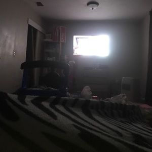 Meet your Posher, Ella