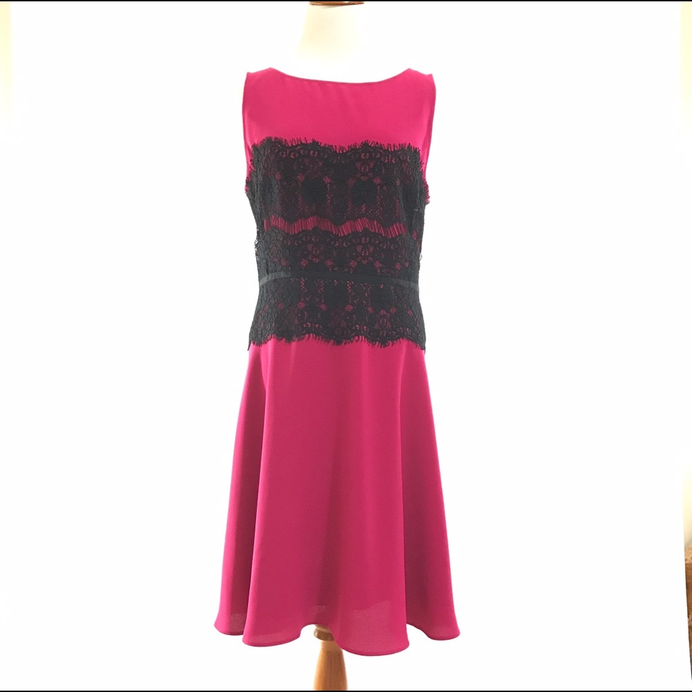 Ann Taylor LOFT Dress 14 Plus Size Knee Flare New