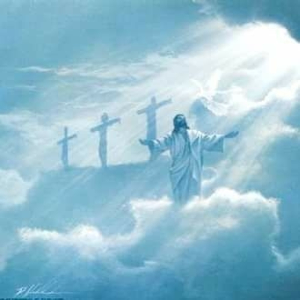 Meet your Posher, John-billie jo