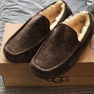 Ugg M Ascot