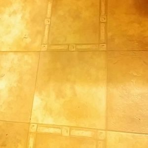 Meet your Posher, Sheila