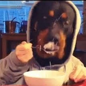 Meet your Posher, Alexandra