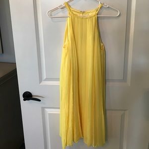 Express pleated dress