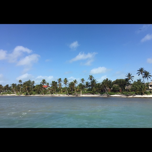 Meet your Posher, Widgetsue24 - Picture 2 of 2