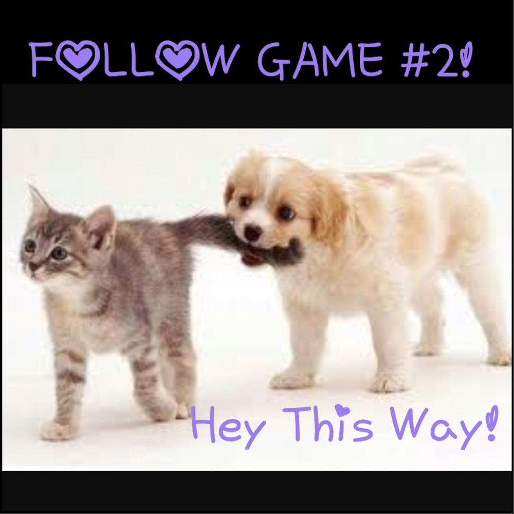 FOLLOW GAME!