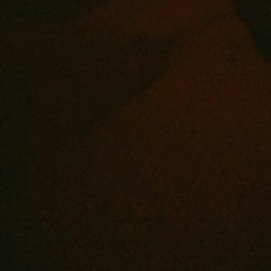 Meet your Posher, Charlotte