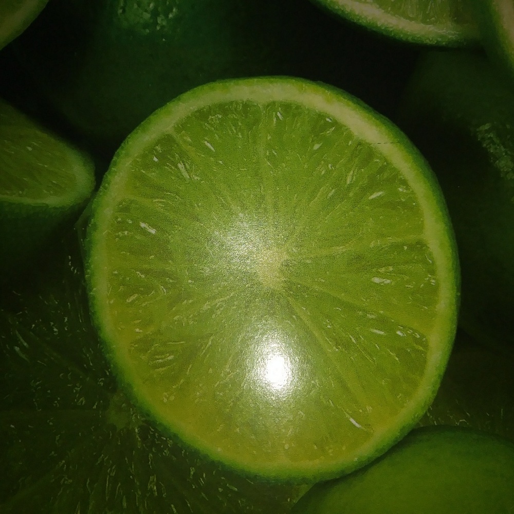 Meet your Posher, Judy