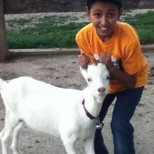 Meet your Posher, Angel