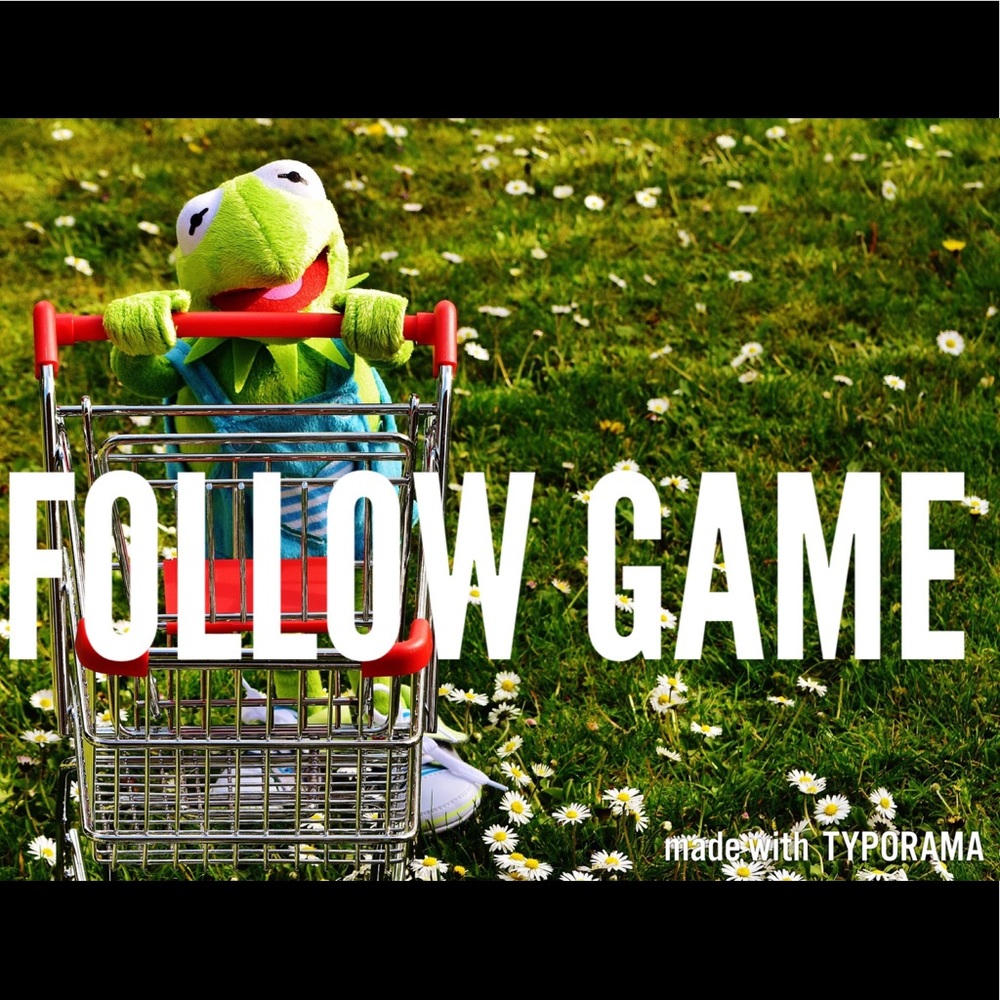 FOLLOW GAME! - Picture 1 of 4