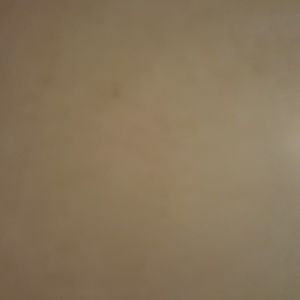 Meet your Posher, Rodney