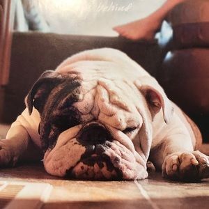 Meet your Posher, Susan