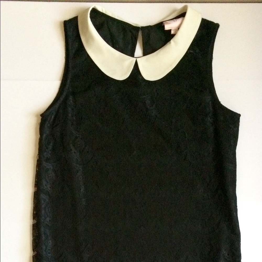 Lace Blouse Rounded Semi Spread Collar