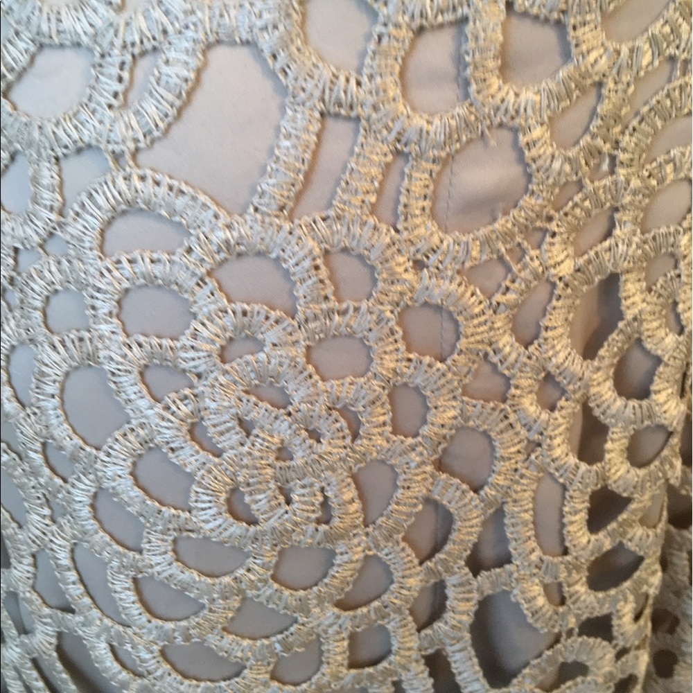 Eliza J Lace Shift - Picture 6 of 6