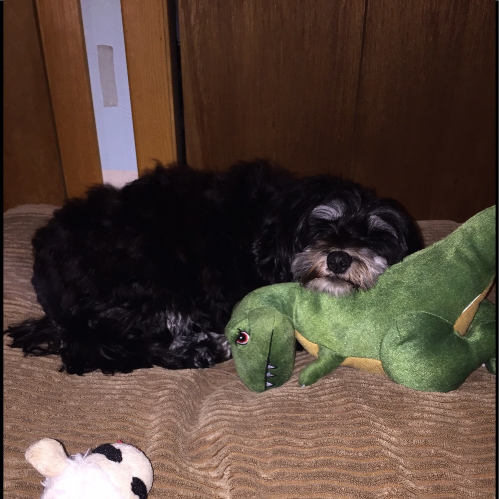 Meet your Posher, Tammy