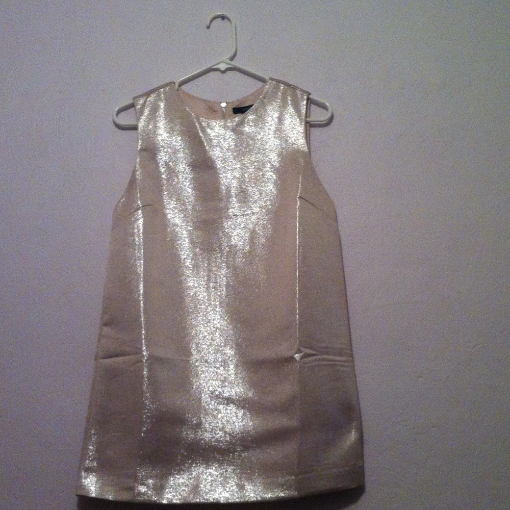 Shimmery Shift Dress