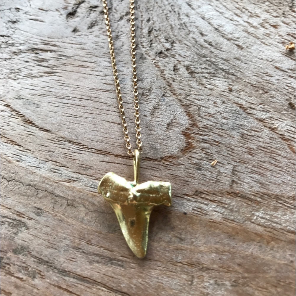 Yellow Gold Shark Tooth Necklace