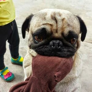 Meet your Posher, Claudia