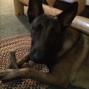 Meet your Posher, Joe