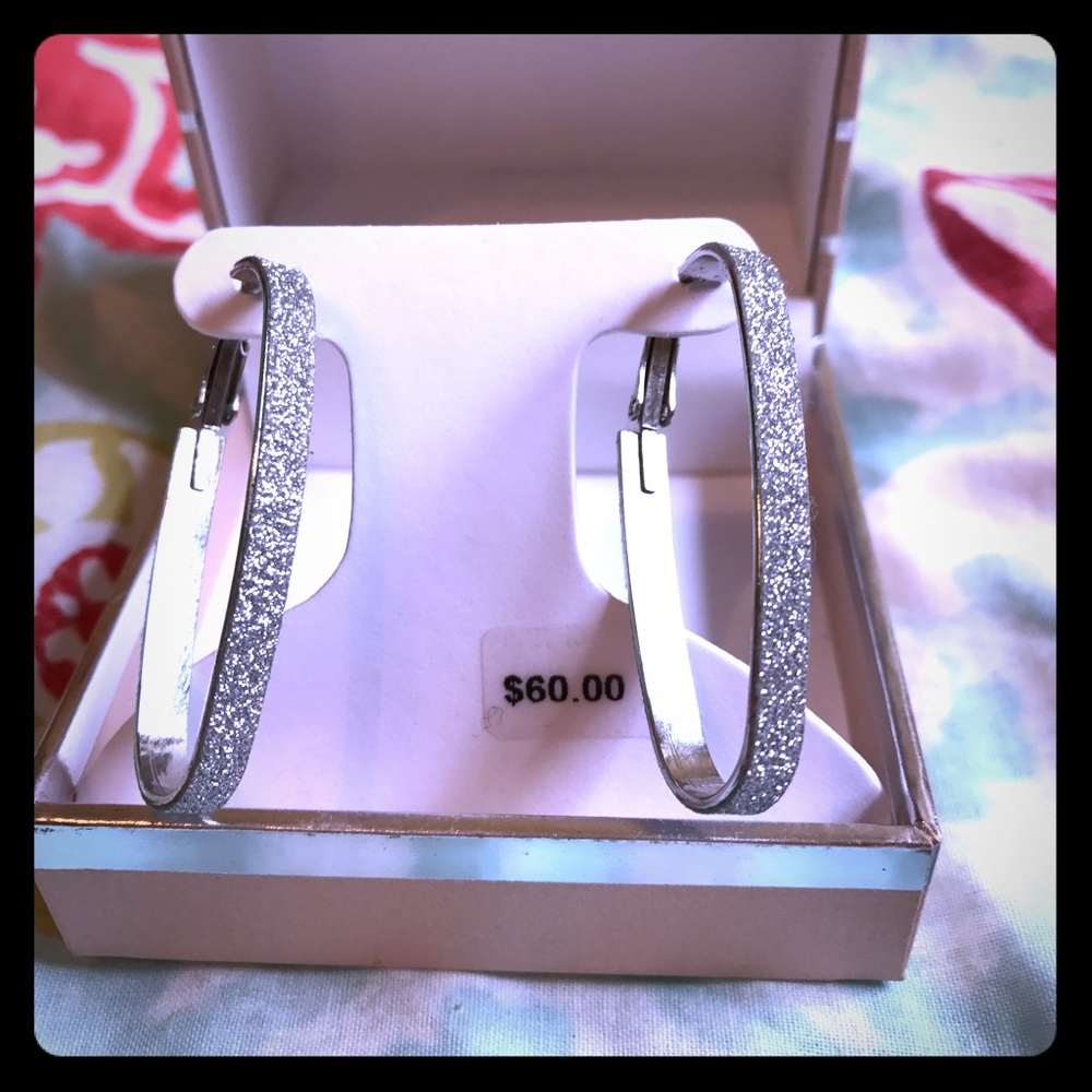Oval Hoop Earrings