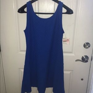 Blue Skater Dress