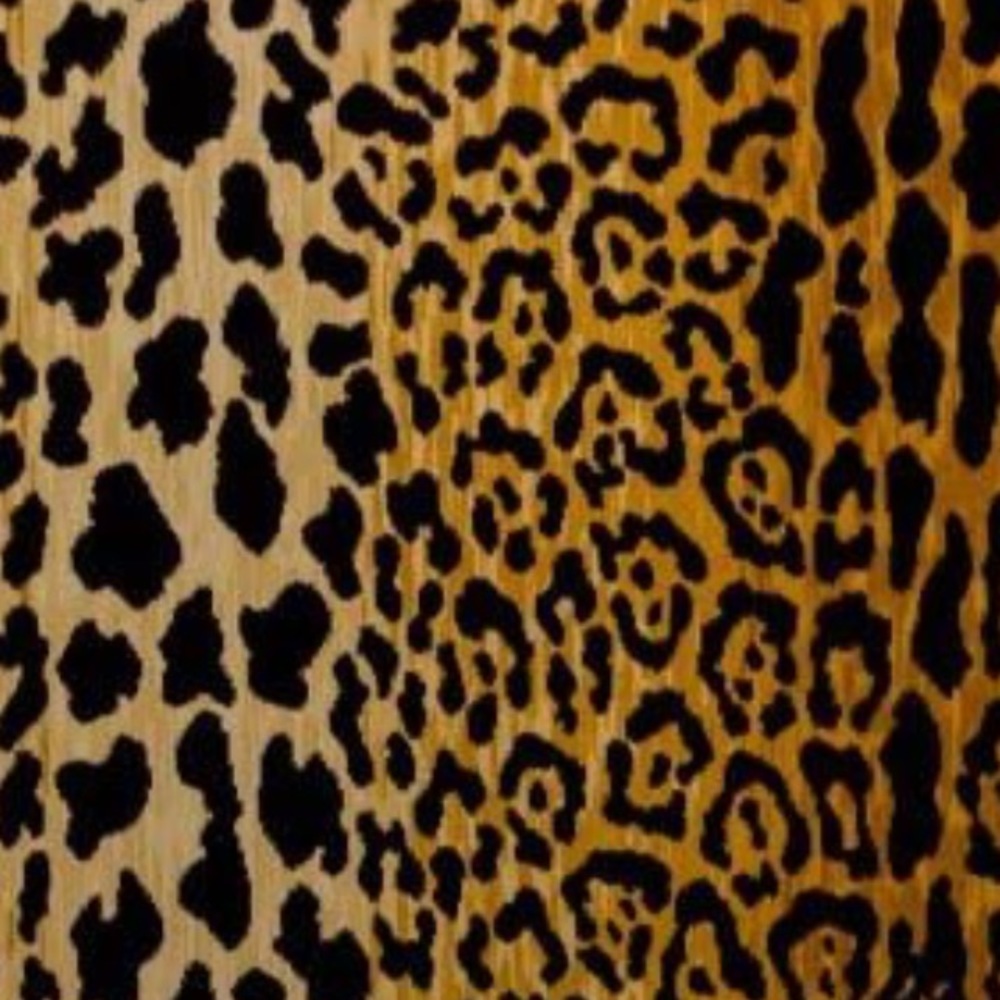 Meet your Posher, CLTchic