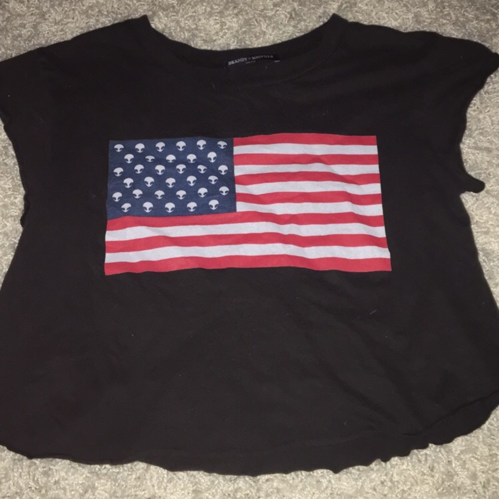 Brandy Melville Crop Top