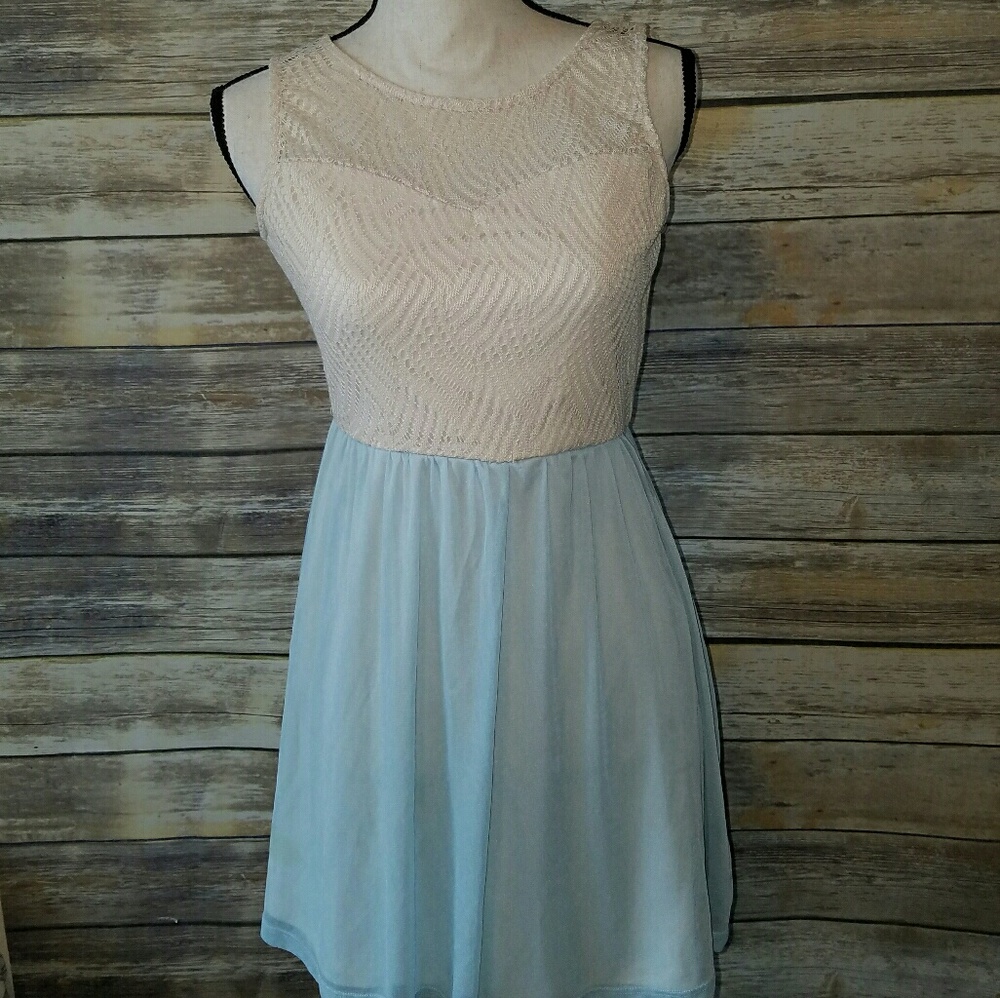 Lace Blue and Cream Skater Dress