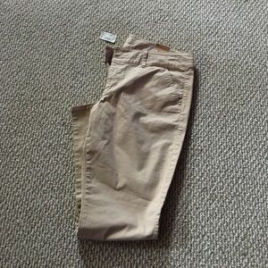 Plus Size Skinny Khakis