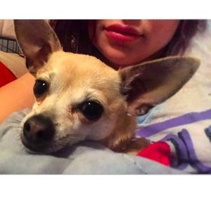 Meet your Posher, Alex