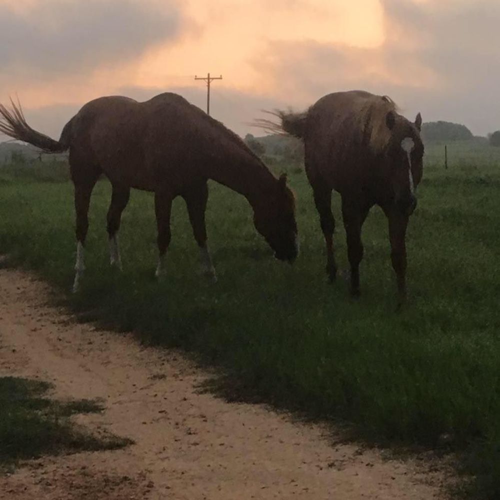 Meet your Posher, Ruby