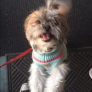 Meet your Posher, Skye