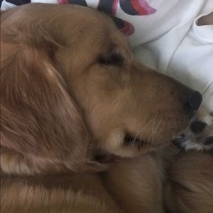 Meet your Posher, Junghyun