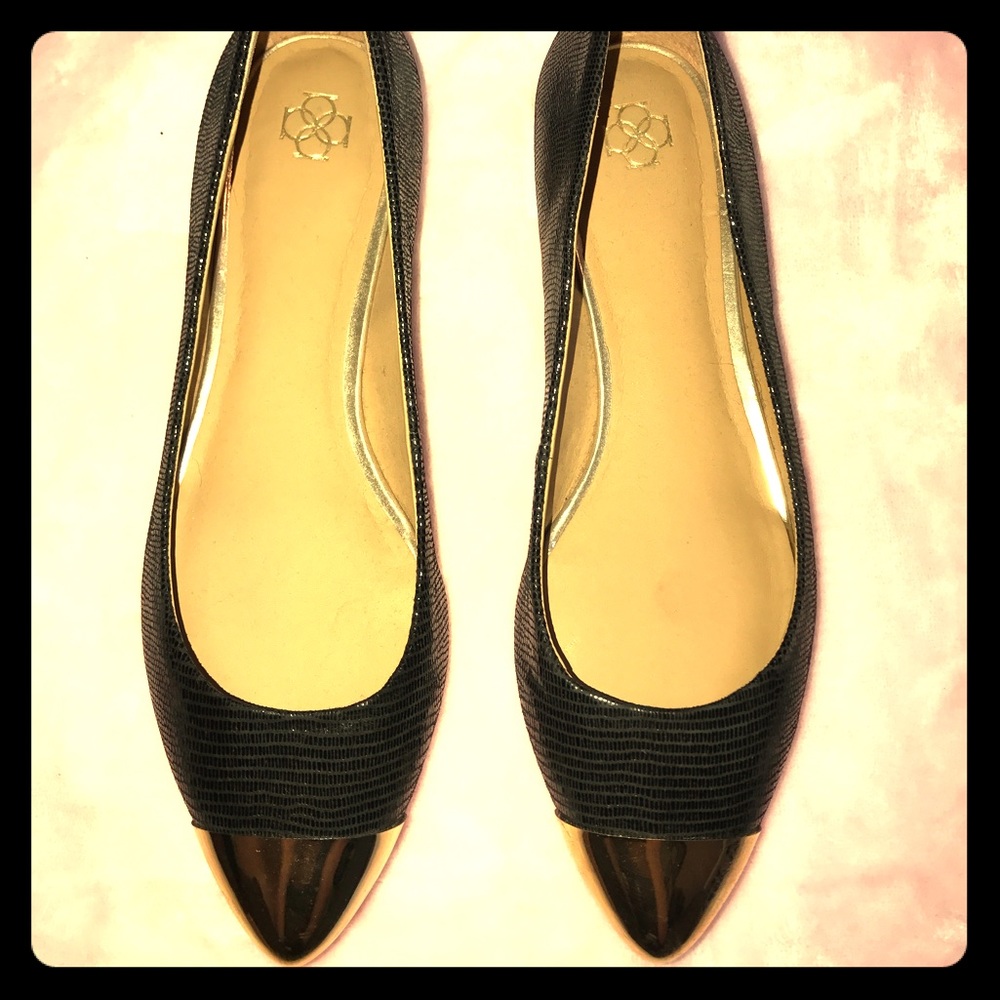 Ann Taylor Flats