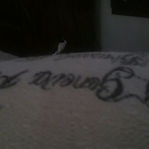 Meet your Posher, Daniella