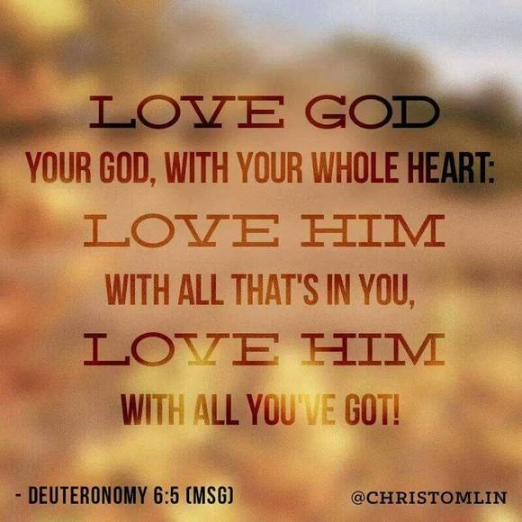 Meet your Posher, Antwon - Picture 1 of 1