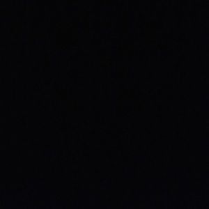 Meet your Posher, Wesley